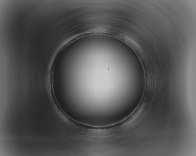 X0000089950800200706291210