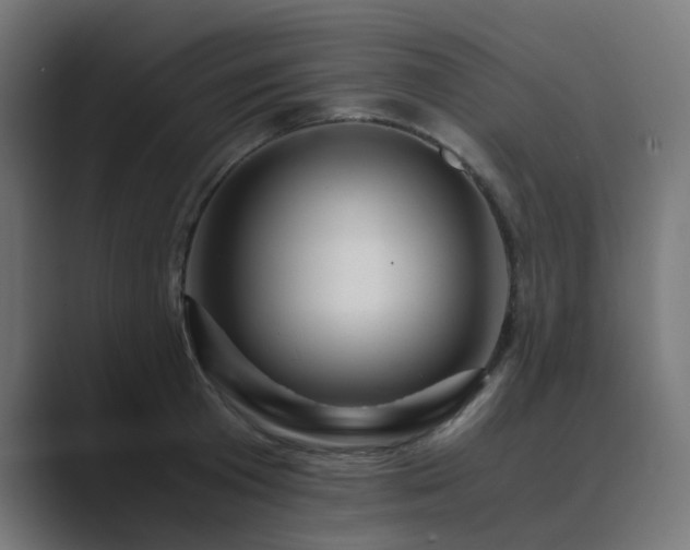 X0000089950801200706291210