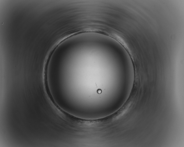 X0000089950803200706291210