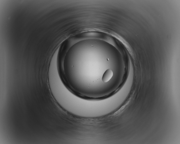 X0000089950809200706291210