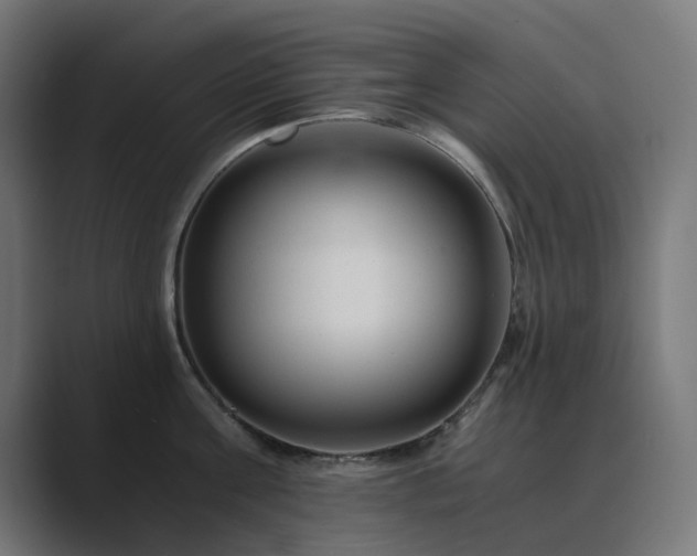 X0000089950811200706291210