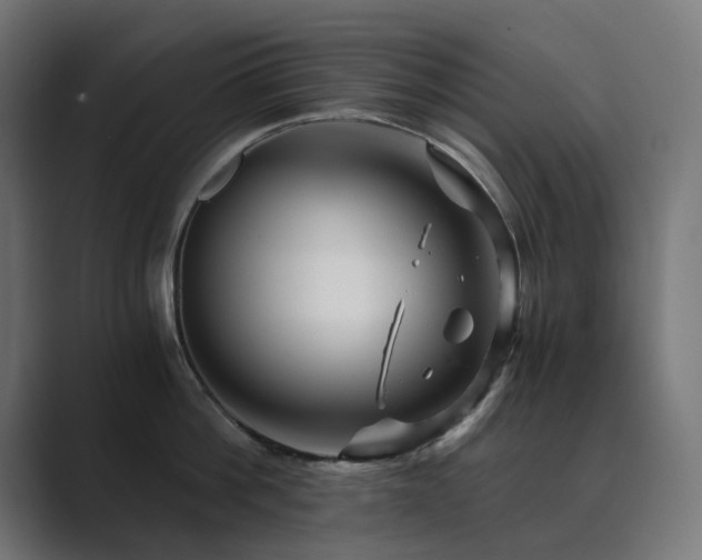 X0000089950812200706291210