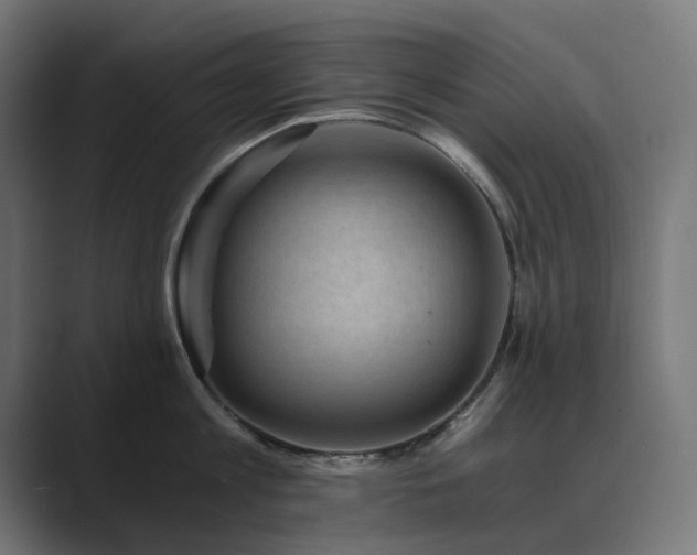 X0000089950813200706291210