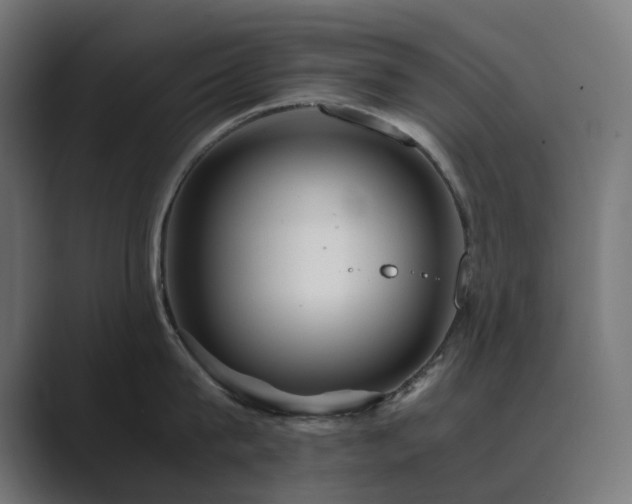 X0000089950815200706291210