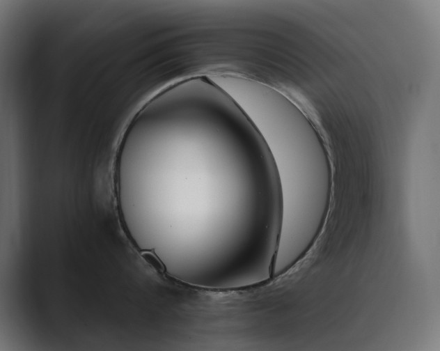 X0000089950816200706291210