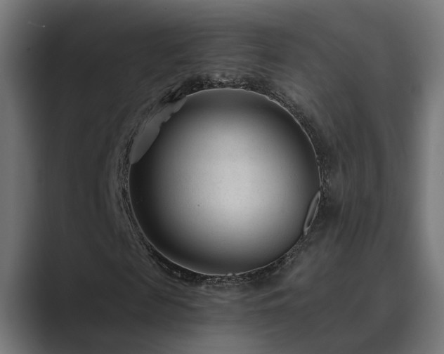 X0000089950817200706291210