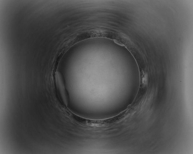 X0000089950819200706291210