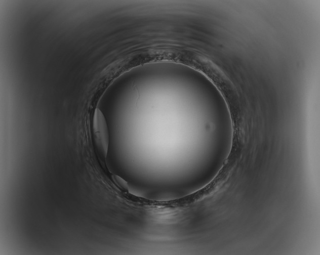 X0000089950821200706291210