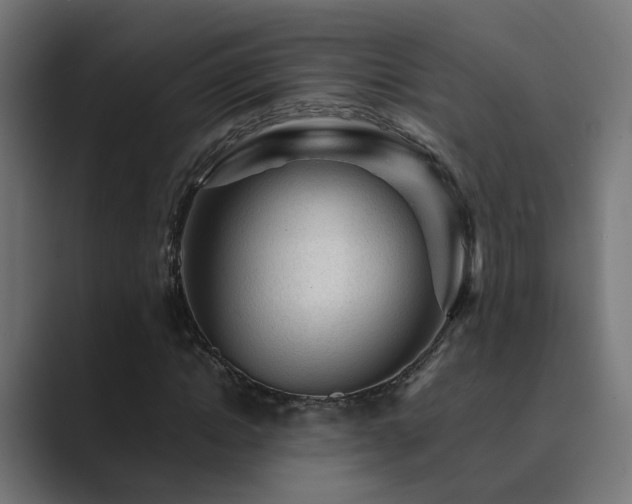 X0000089950822200706291210