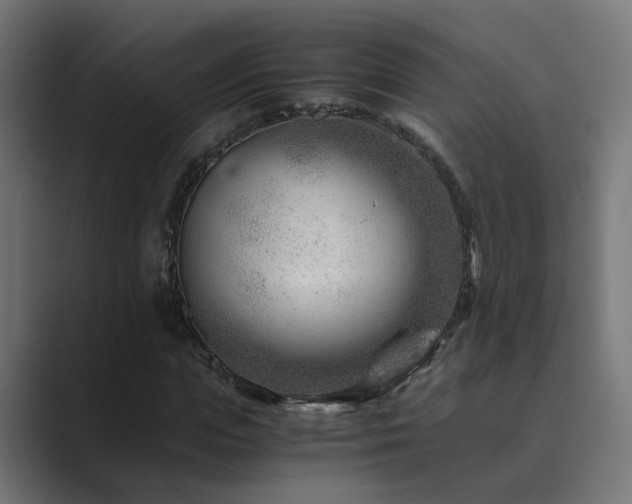 X0000089950823200706291210