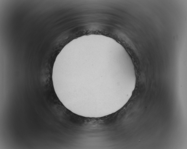 X0000089950824200706291210