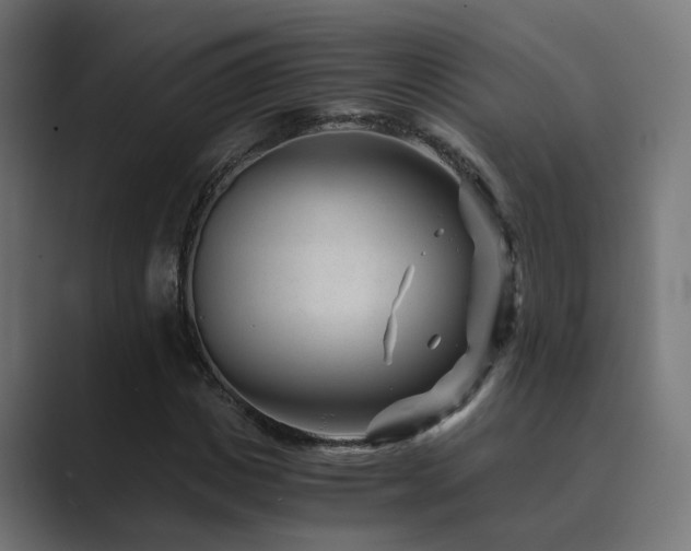 X0000089950825200706291210