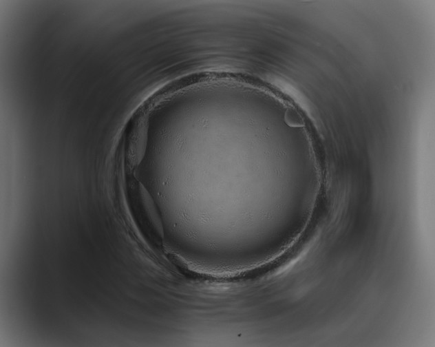 X0000089950829200706291210