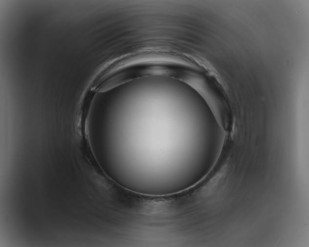 X0000089950830200706291210