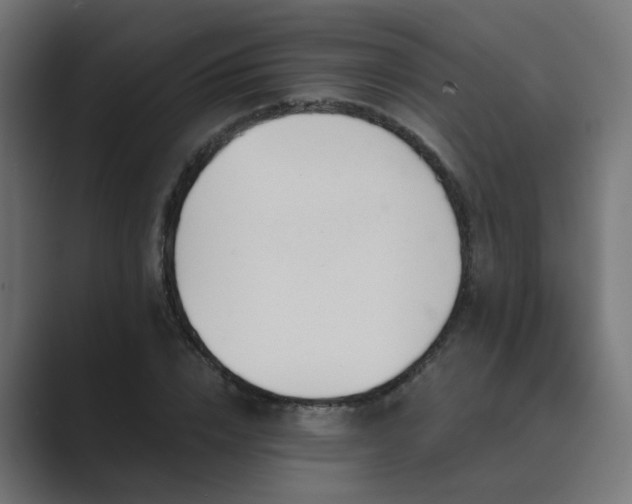 X0000089950832200706291210