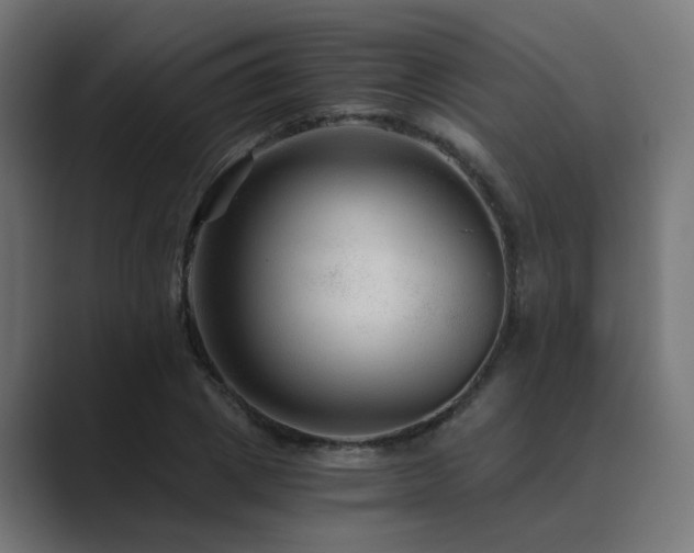 X0000089950833200706291210