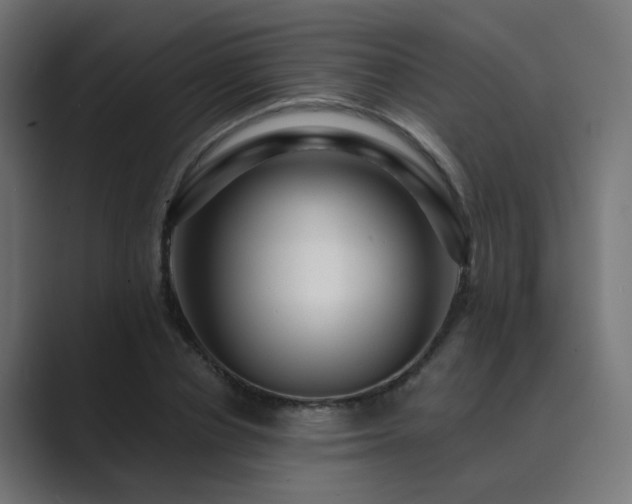 X0000089950834200706291210