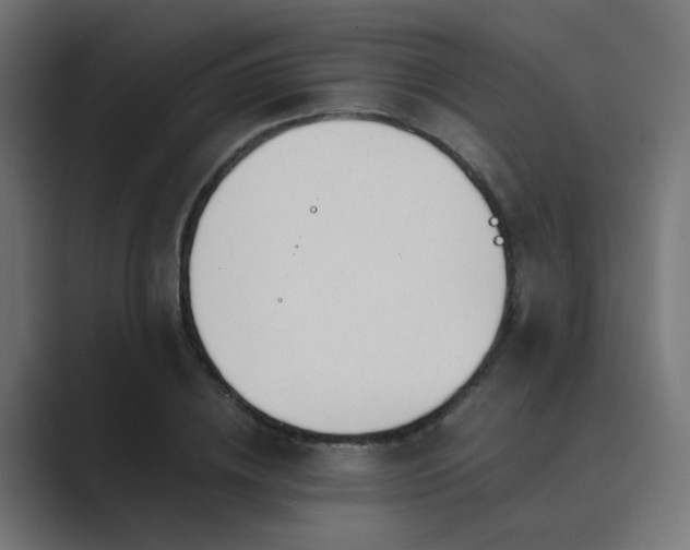 X0000089950836200706291210
