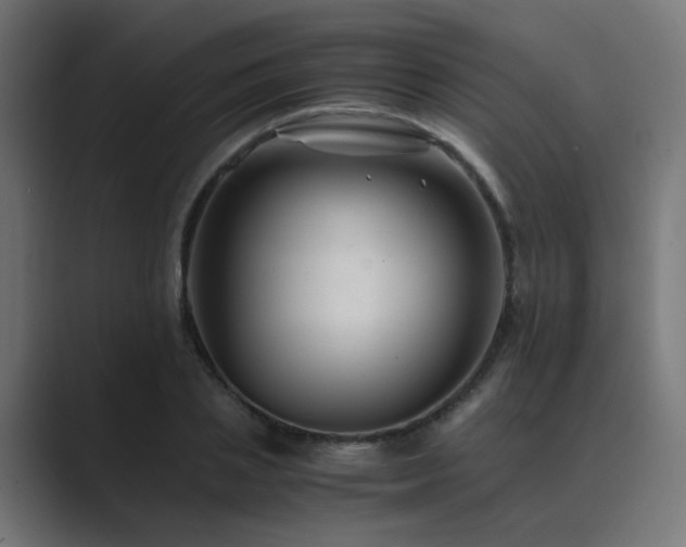 X0000089950837200706291210