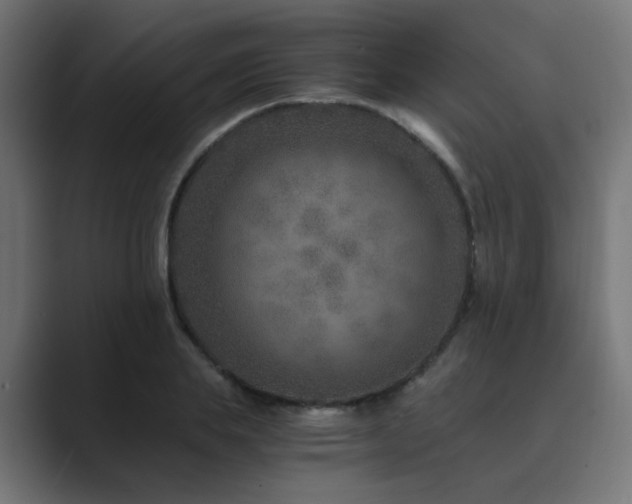X0000089950839200706291210