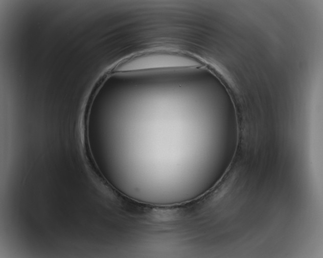 X0000089950840200706291210