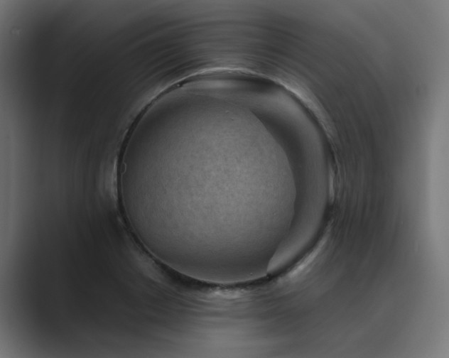 X0000089950842200706291210
