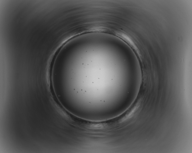 X0000089950843200706291210