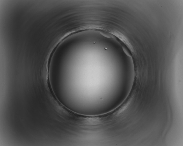 X0000089950844200706291210