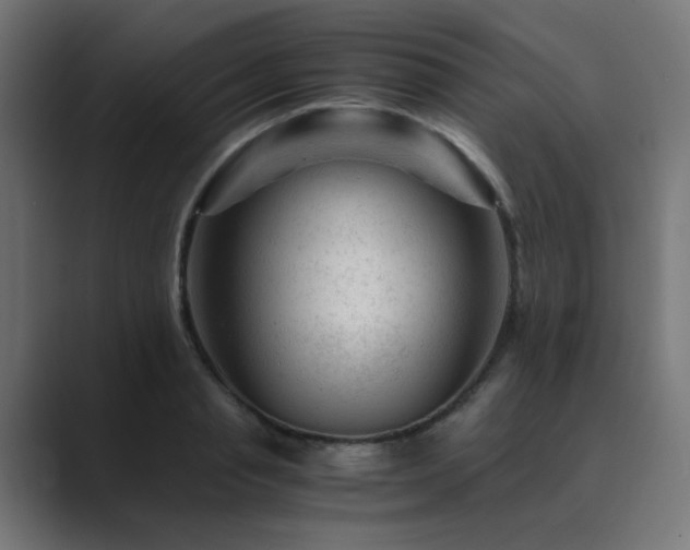 X0000089950845200706291210