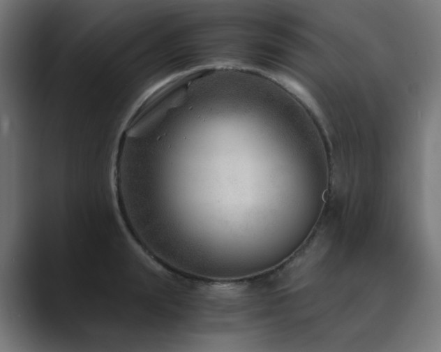 X0000089950847200706291210