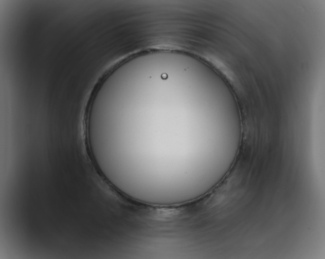 X0000089950848200706291210