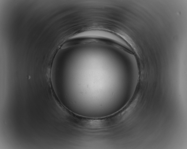 X0000089950849200706291210