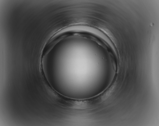 X0000089950850200706291210
