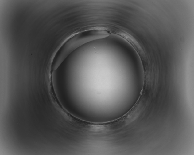X0000089950852200706291210