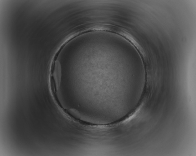 X0000089950853200706291210