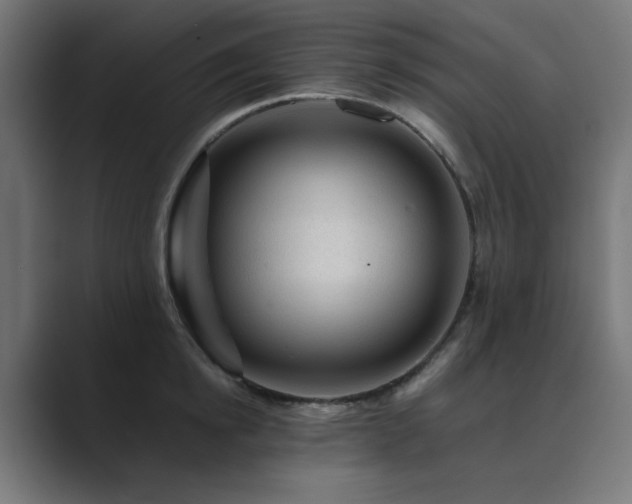 X0000089950854200706291210