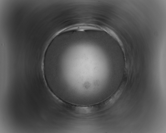 X0000089950855200706291210
