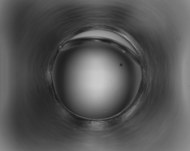 X0000089950857200706291210