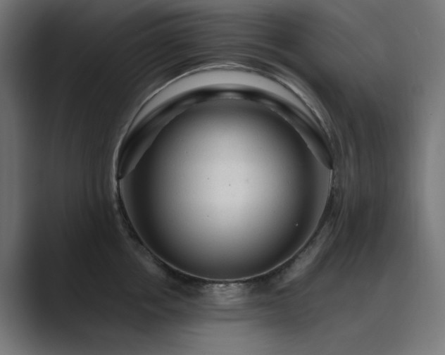 X0000089950858200706291210