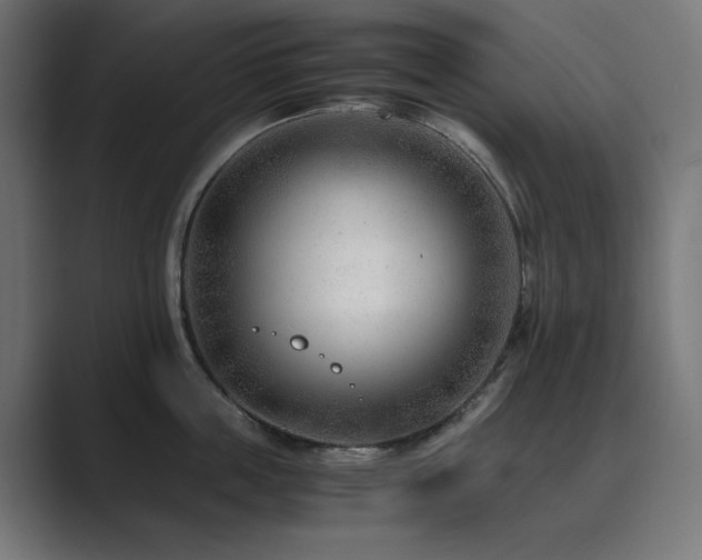 X0000089950859200706291210