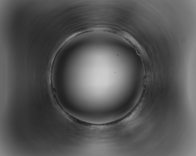 X0000089950860200706291210
