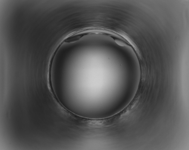 X0000089950861200706291210
