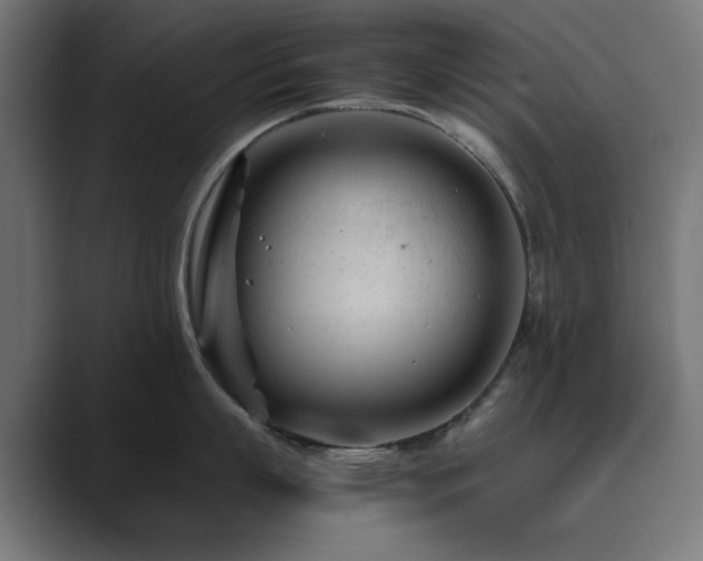 X0000089950863200706291210