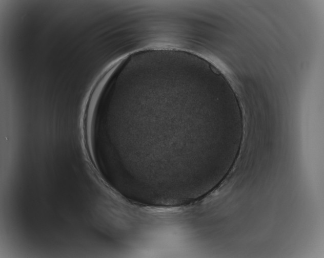 X0000089950864200706291210