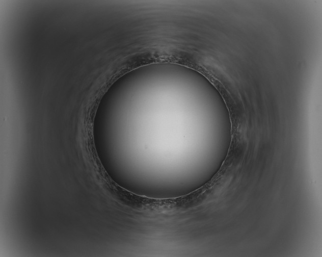 X0000089950865200706291210