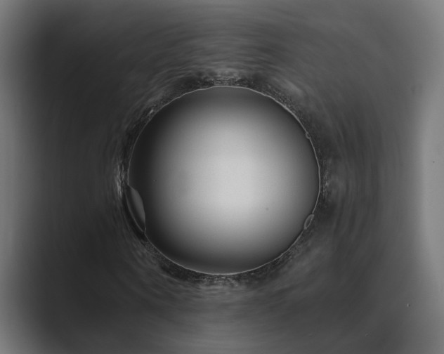 X0000089950866200706291210