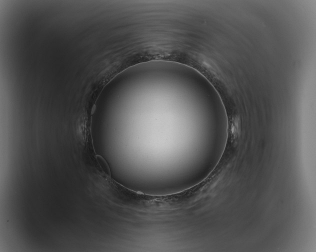 X0000089950867200706291210