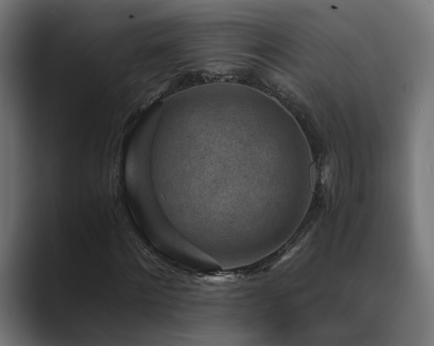 X0000089950868200706291210