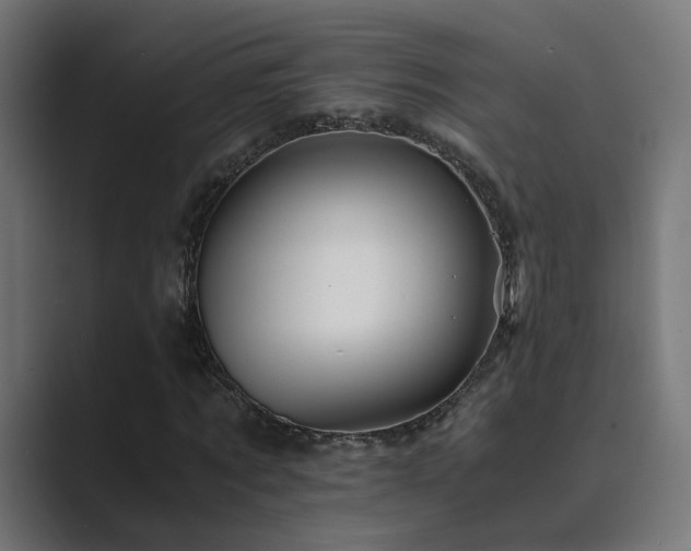 X0000089950869200706291210