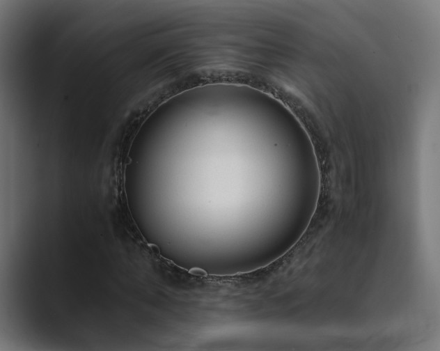 X0000089950870200706291210
